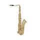 Tenor Sax Master Lacquered, TS210