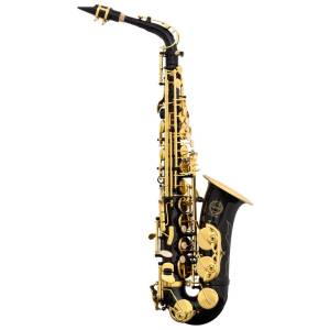 Black Alto Sax SAL700 Black Alto Sax SAL700