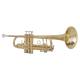 Trumpet Master Lacquered, TR210
