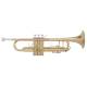 Trumpet Master Lacquered, TR210