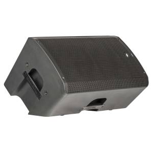 Active Speaker DIVA12A