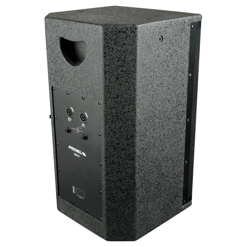 LTX 10P  Passive Loudspeaker system