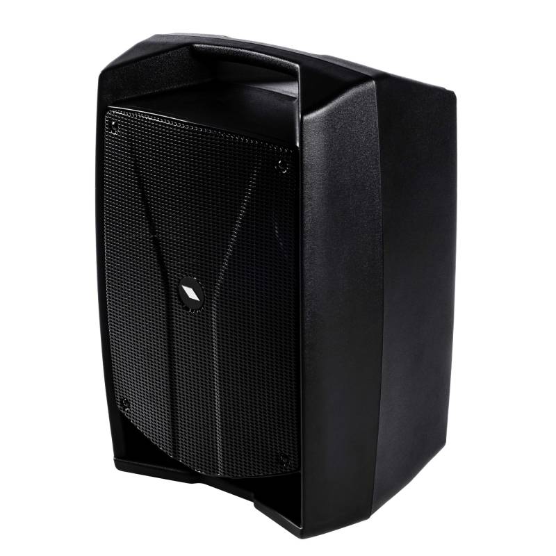 V10 FREE  Battery Powered Portable Combo Speaker