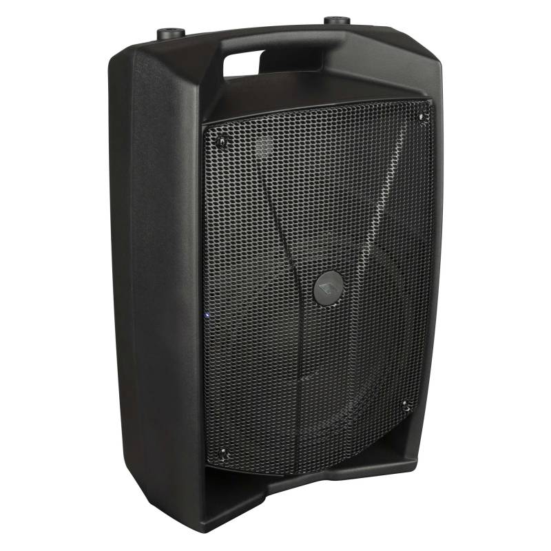 V10PRO Active Loudspeaker system with DSP V10PRO Active Loudspeaker system with DSP