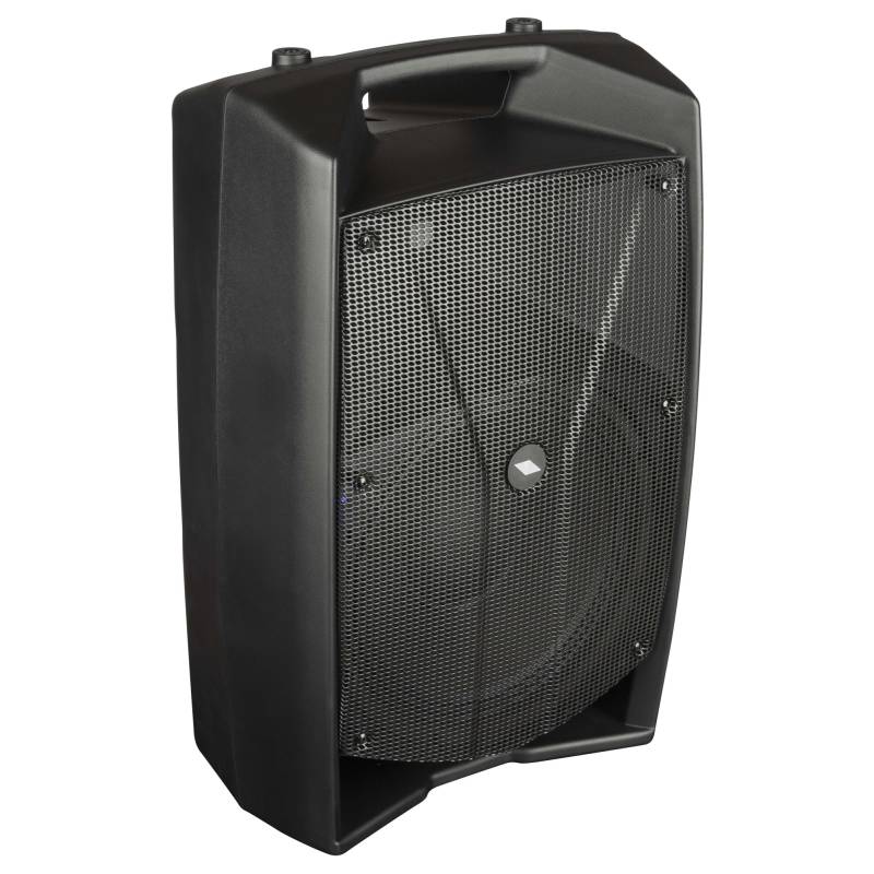 V12PRO Active Loudspeaker system with DSP V12PRO Active Loudspeaker system with DSP
