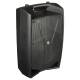 V12PRO Active Loudspeaker system with DSP V12PRO Active Loudspeaker system with DSP