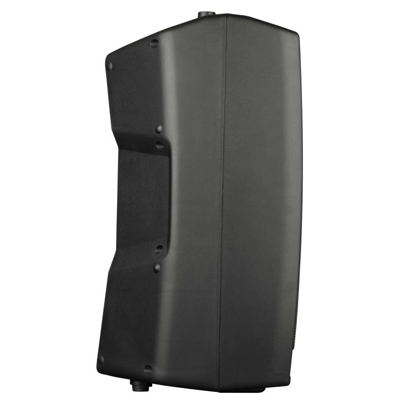 V12PRO Active Loudspeaker system with DSP V12PRO Active Loudspeaker system with DSP