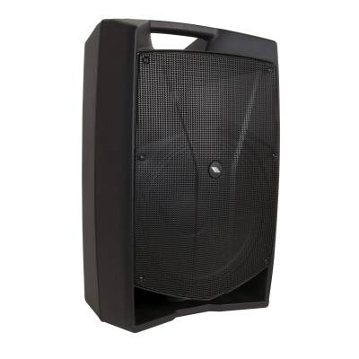 V15 PLUS Active Loudspeaker system V15PLUS