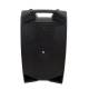 V15 PLUS Active Loudspeaker system