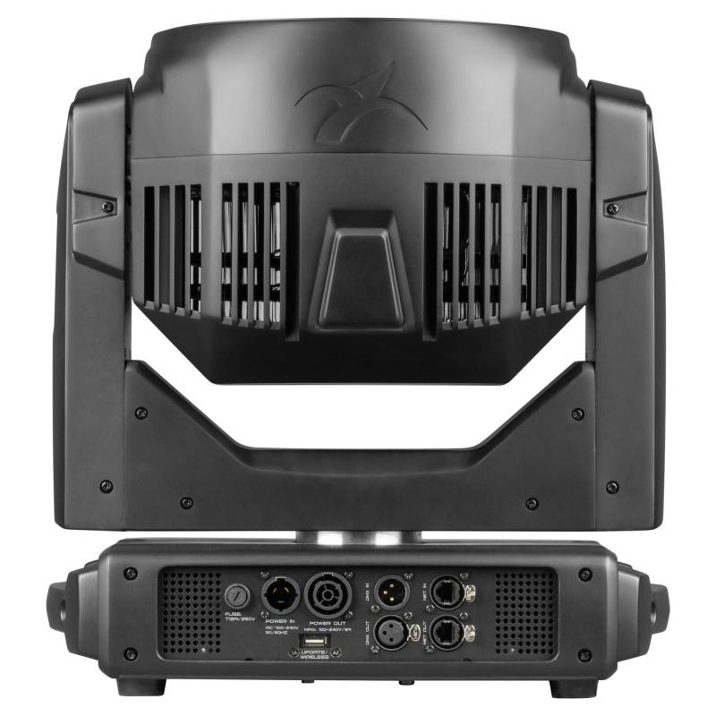 Archer W8